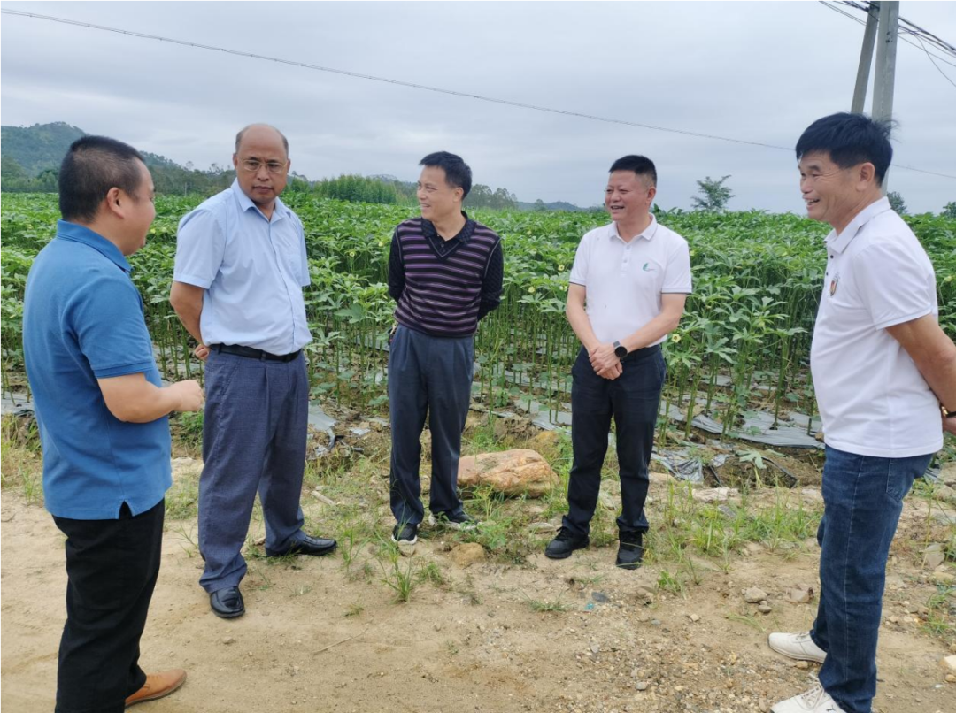 落实耕地保护制度全力守住耕地红线